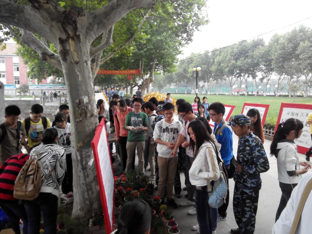 ��ɫ����